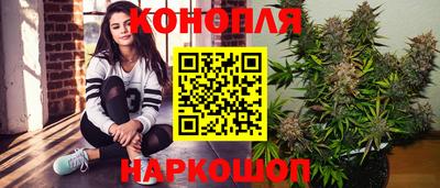 альфа пвп Брянск