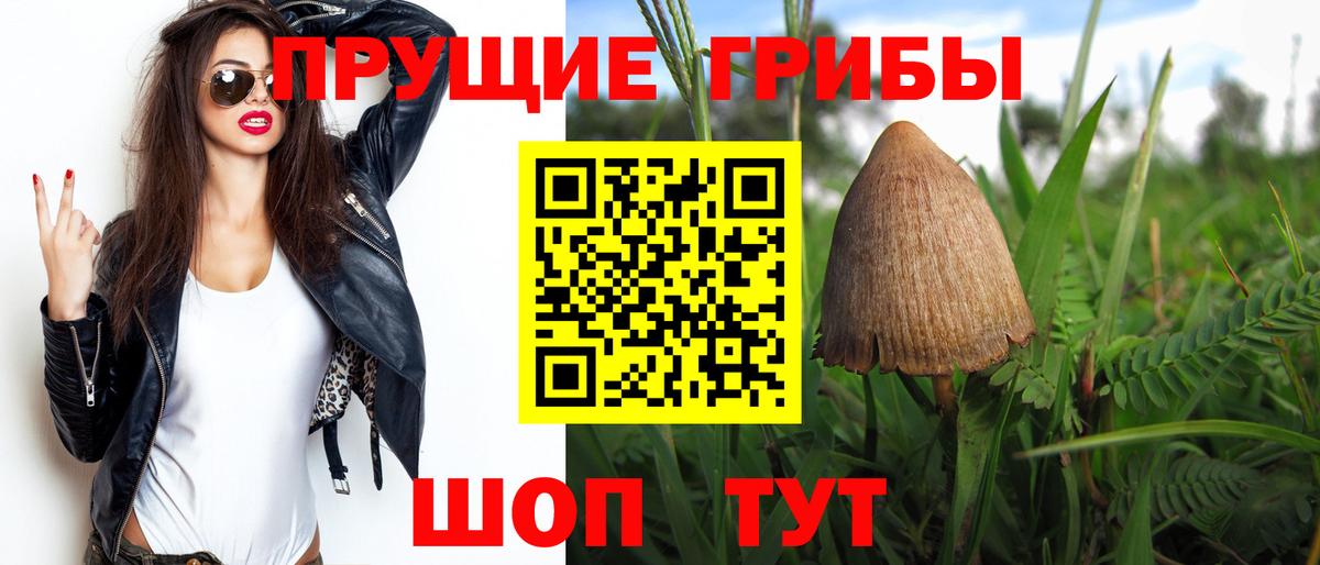 Отрадное  Псилоцибиновые грибы мицелий  Вход с VPN 