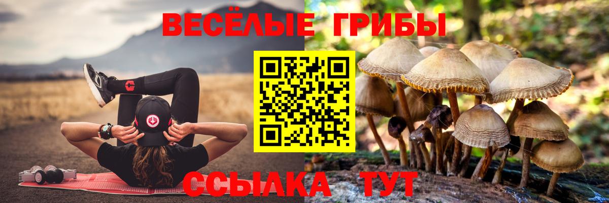 Псилоцибиновые грибы прущие грибы Отрадное